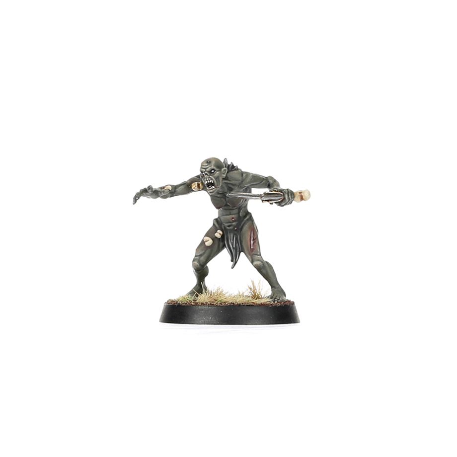 Fer de Lance: Cours de Mangechairs – Carneguet - PAPETERIE Le bon écolier