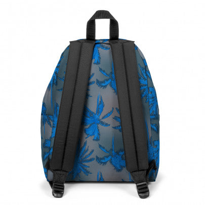 Sac à dos EASTPAK Padded Pak'R Brize Dye Grey 1 compartiment