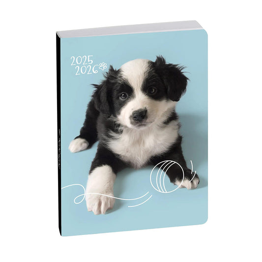 Agenda scolaire EXACOMPTA Forum Animaux Chiot et Balle 2025-2026