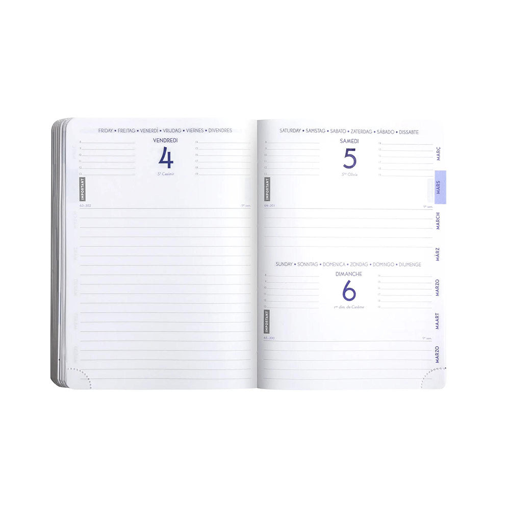 Agenda scolaire EXACOMPTA Forum Animaux Chiot et Balle 2025-2026