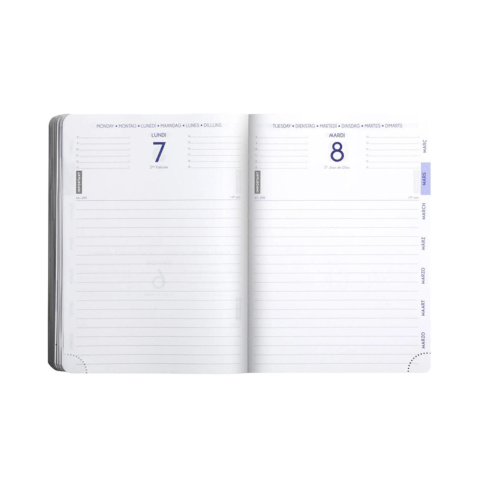 Agenda scolaire EXACOMPTA Forum Animaux Chiot et Balle 2025-2026