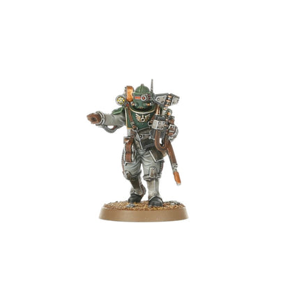 Force de Combat des Solar Auxilia