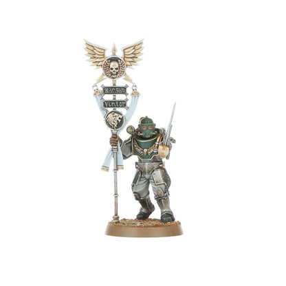 Force de Combat des Solar Auxilia