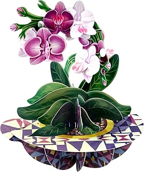 Pirouette Carte de vœux pop-up 3D – Cadeau d'anniversaire pour elle, maman, fille, épouse, petite amie - Carte de remerciement - Carte fleur pour la fête des mères