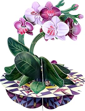 Pirouette Carte de vœux pop-up 3D – Cadeau d'anniversaire pour elle, maman, fille, épouse, petite amie - Carte de remerciement - Carte fleur pour la fête des mères
