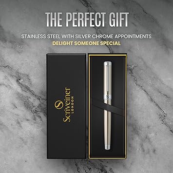 Superbe stylo de luxe en métal avec finition chromée argentée, recharge d&