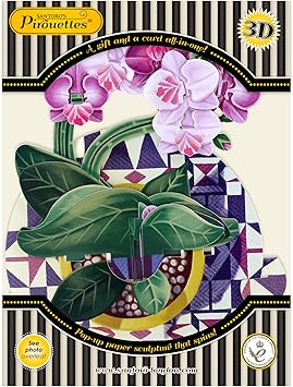Pirouette Carte de vœux pop-up 3D – Cadeau d'anniversaire pour elle, maman, fille, épouse, petite amie - Carte de remerciement - Carte fleur pour la fête des mères