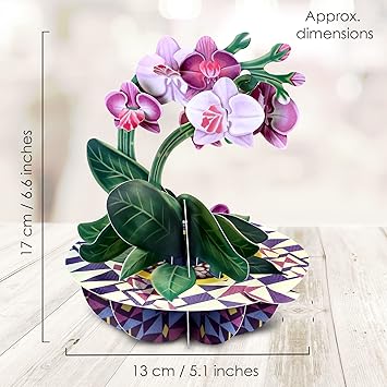 Pirouette Carte de vœux pop-up 3D – Cadeau d'anniversaire pour elle, maman, fille, épouse, petite amie - Carte de remerciement - Carte fleur pour la fête des mères