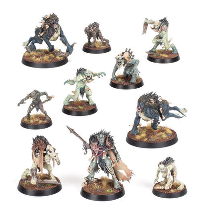 Fer de Lance: Cours de Mangechairs – Carneguet