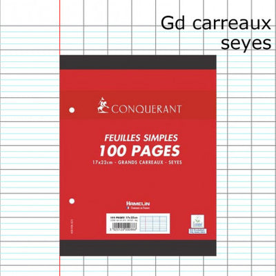 100 pages Copies simples mobiles 17x22cm perforées Grands carreaux Séyès 90g