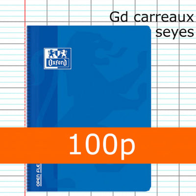 Cahier Openflex Spirale Polypro Bleu OXFORD 24x32 100p Grands Carreaux Seyès 90g