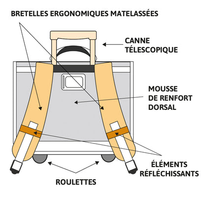 Cartable à roulettes POKEMON Team Evoli 41cm 2 compartiments